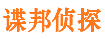 成武侦探公司